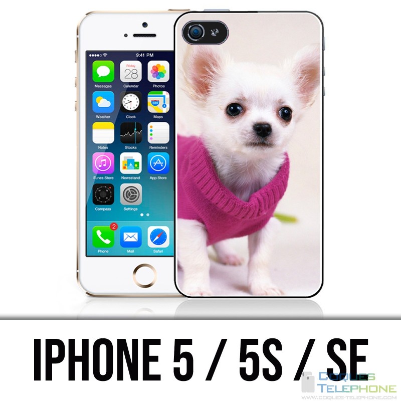 IPhone 5 / 5S / SE Fall - Chihuahua-Hund