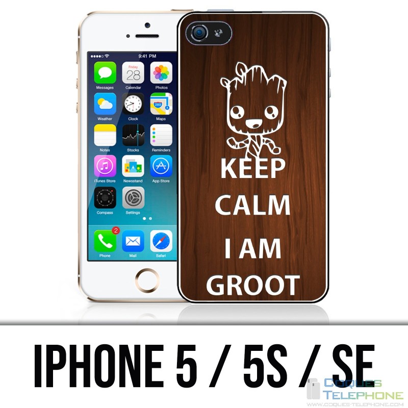 IPhone 5 / 5S / SE Fall - behalten Sie ruhigen Groot