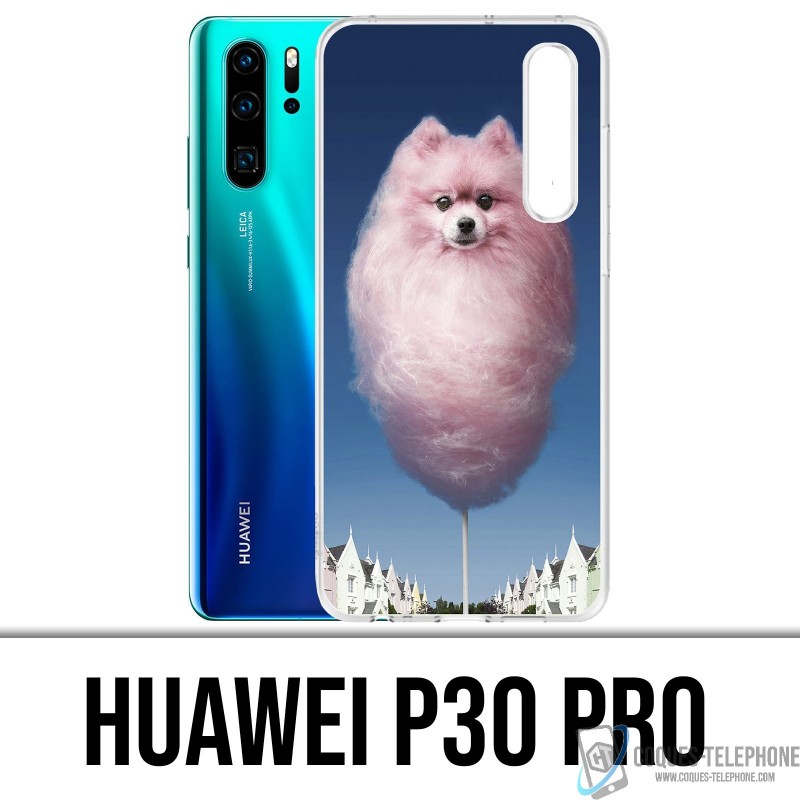 Coque Huawei P30 PRO - Barbachien