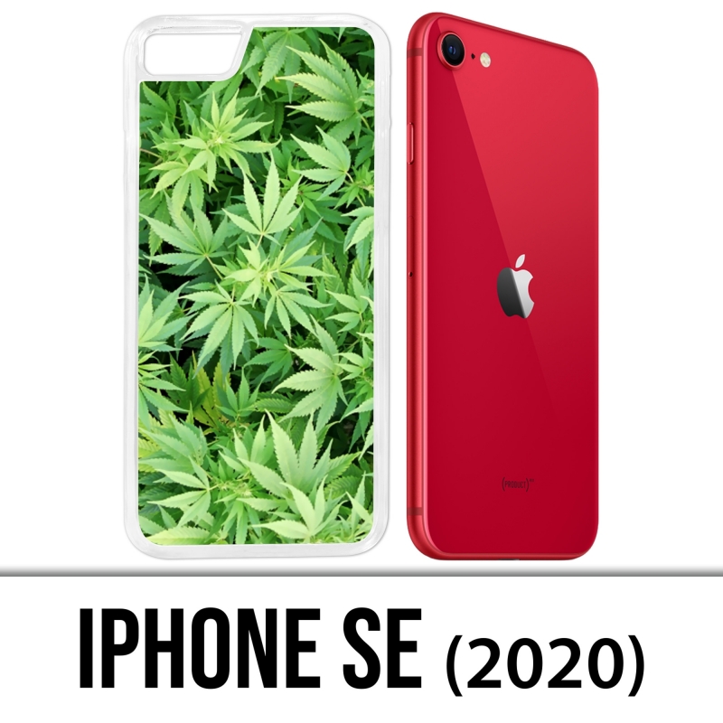 Coque iPhone SE 2020 - Cannabis