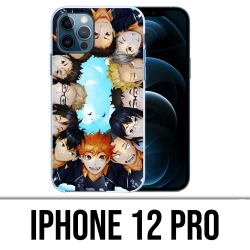 IPhone 12 Pro Case - Haikyuu-Team