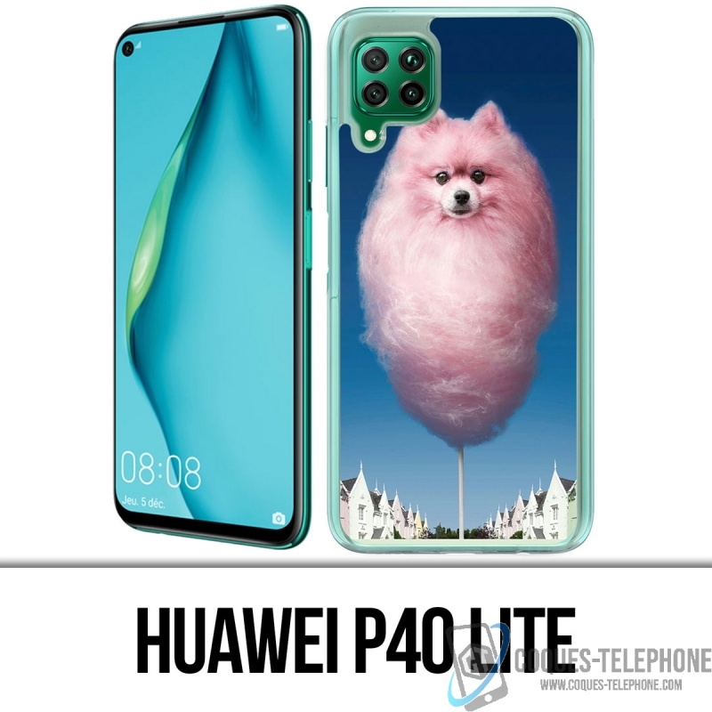 Coque Huawei P40 Lite - Barbachien