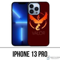 IPhone 13 Pro Case -...