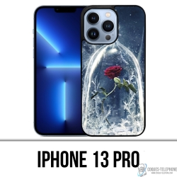 Custodia per iPhone 13 Pro...