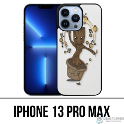 Custodia per iPhone 13 Pro...