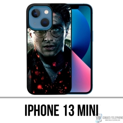 IPhone 13 Mini Case - Harry...